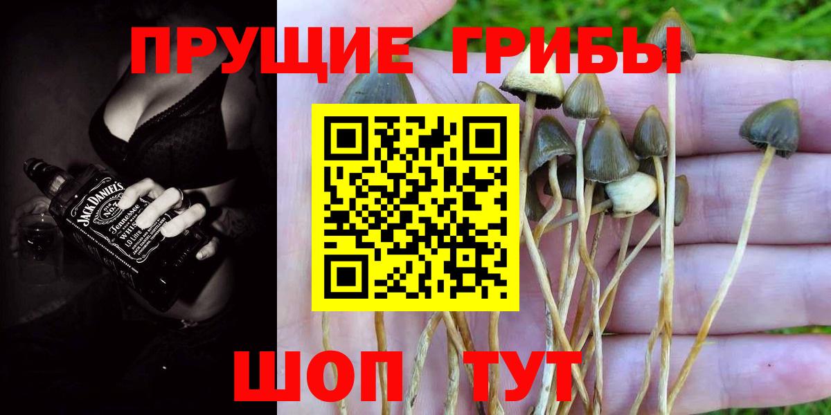 Галлюциногенные грибы Magic Shrooms Шебекино