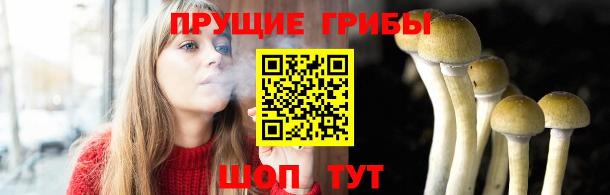 купить  цена  Вход с VPN  Шебекино  Галлюциногенные грибы GOLDEN TEACHER 